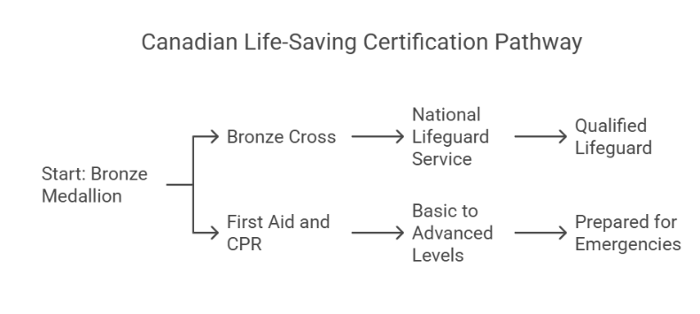 First Aid and CPR