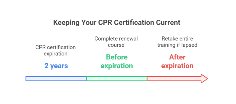 How Long Does CPR Certification Last?